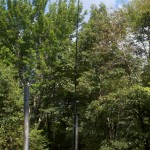 Fiberglass pole supporting the 40/20 linked dipole