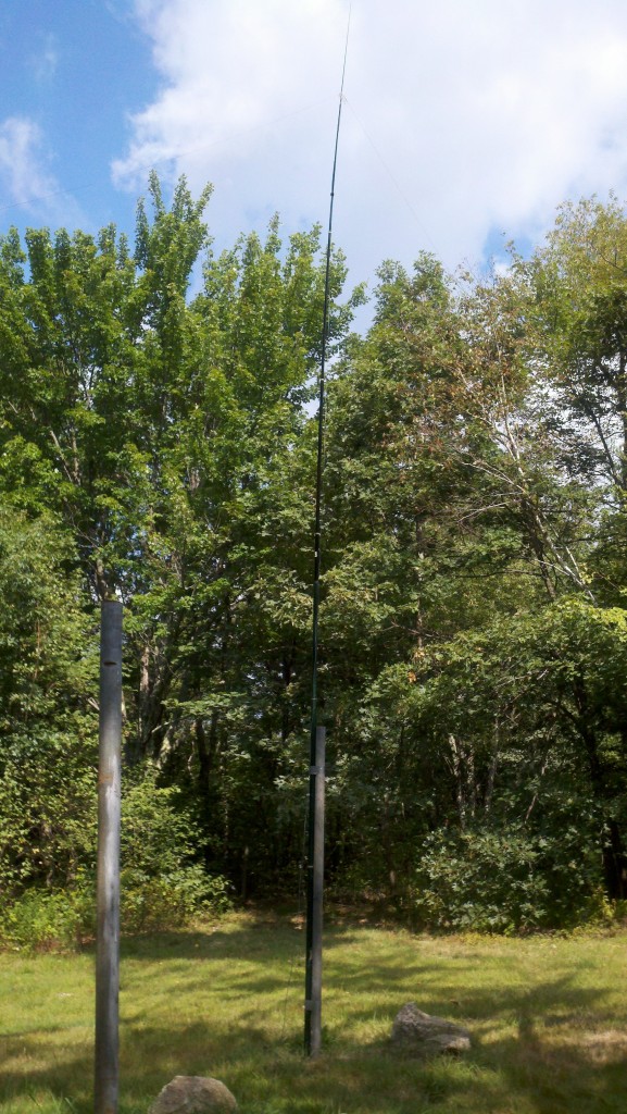 Fiberglass pole supporting the 40/20 linked dipole